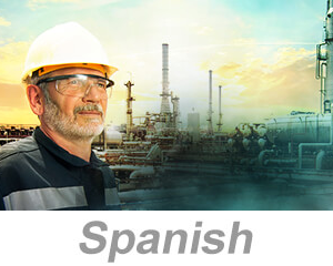 Process Safety Management: Process Hazard Analysis (US) (Spanish)