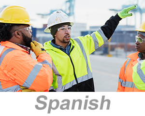 HAZWOPER: Elimination and Substitution Controls (Spanish)