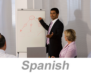 Integrated Systems – Achieving Organizational Excellence (Spanish)