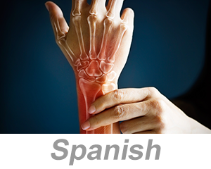Hand, Wrist and Finger Safety (Spanish)