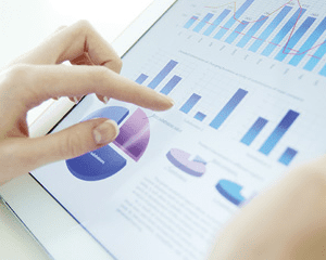 Reporting (Data Entry) (German) Reporting (Data Entry) (German)