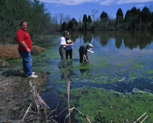Environmental Overview (US)