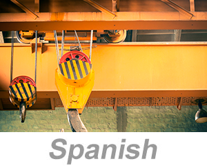 Overhead and Gantry Crane Safety (Spanish)