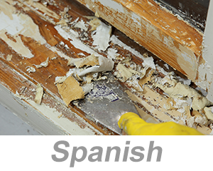 Health Hazards in Construction: Lead Awareness (Spanish)