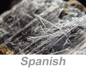 Health Hazards in Construction: Asbestos Awareness (Spanish)