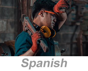 Heat Stress (Spanish)