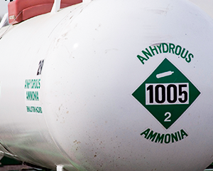 高温应激（中文）