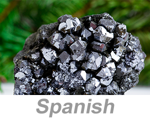 Lead Poisoning (Spanish)