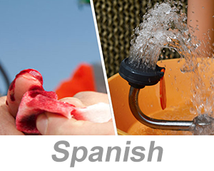 Bloodborne Pathogens Awareness (Spanish)