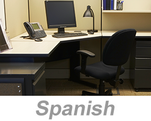 Office ergonomics Essentials (Spanish)