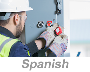 Lockout/Tagout (LOTO) Programs and Procedures (Portuguese)