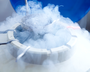 Cryogen Safety Cryogen Safety